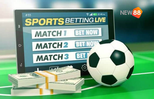 Thủ thật cá độ bóng đá: Chọn kèo tỉnh táo Thủ thật cá độ bóng đá: Chọn kèo tỉnh táo